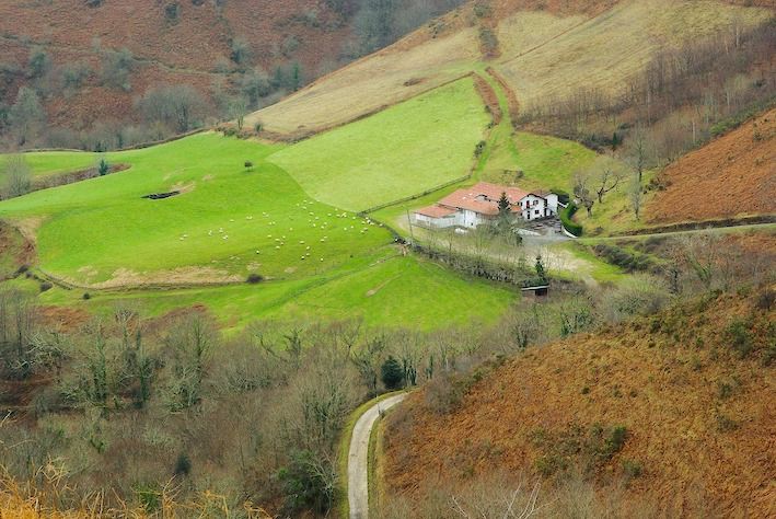 AGRICULTURE BASQUE – La Communauté d’agglomération au soutien